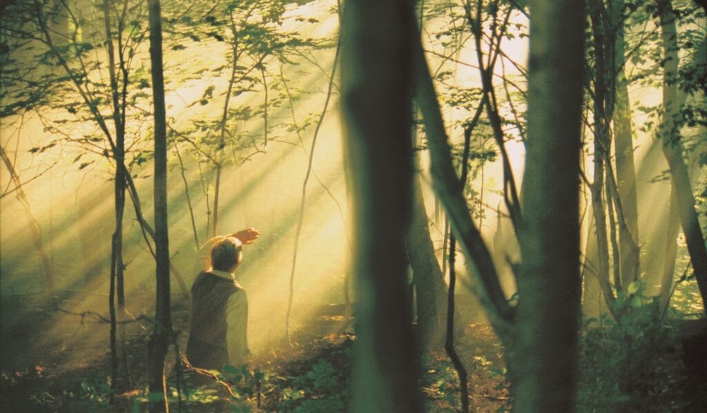 Joseph Smith's First Vision in the Sacred Grove